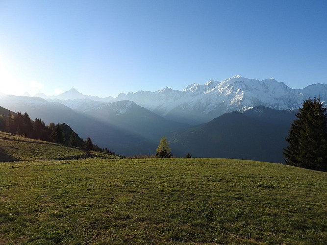 Vue Mont-Blanc depuis le site de décollage de parapentes