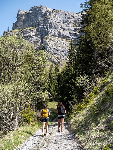 The pastures of Lachat d'en Haut_Passy