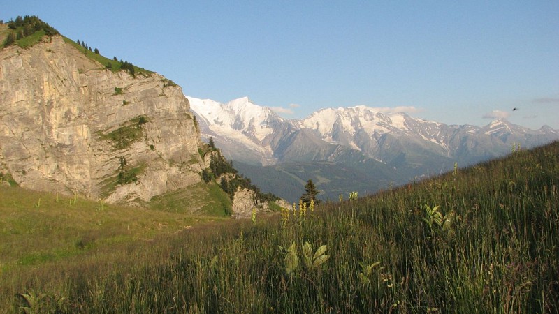 Vue Mont-Blanc depuis le Lachat d'en Haut