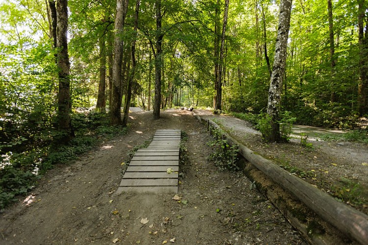 Banks of the Arve and Lac de Passy_Passy
