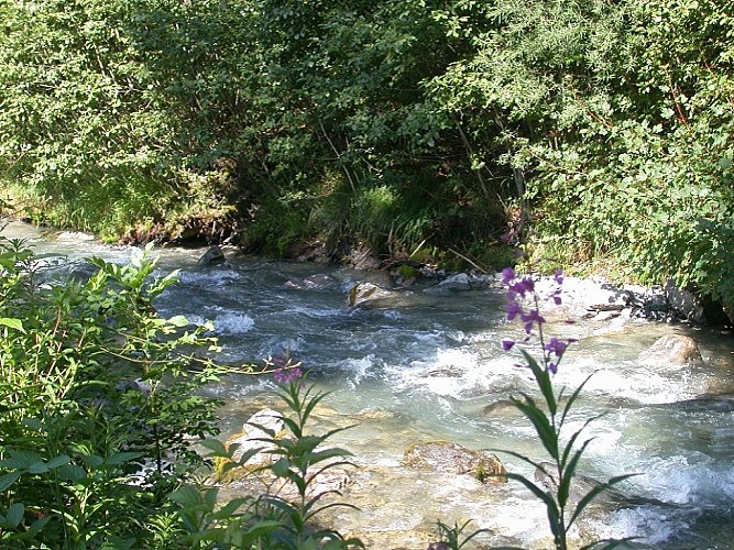 Thematic trail on the banks of the Arve