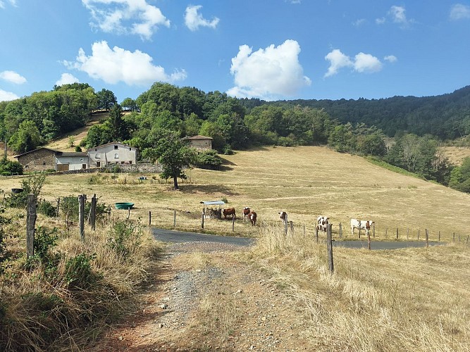 Paysage