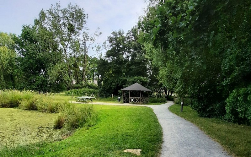 Le long du ruisseau du Pont aux Moine - 1