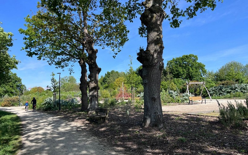 Parcs du Presbytère et du Lindon - 3