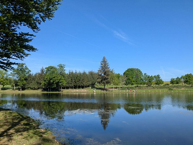Etang de Linatre - Affieux 