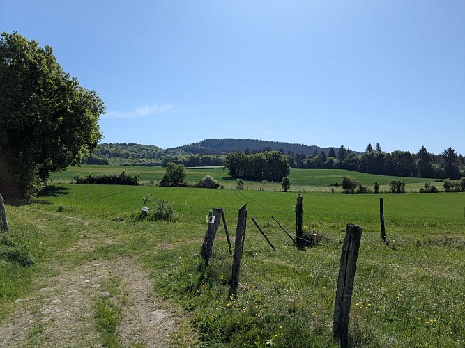 Paysage Affieux