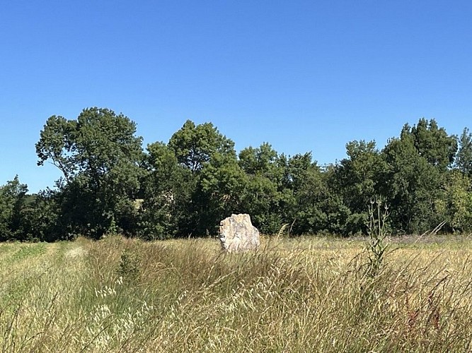 Menhir des teulières