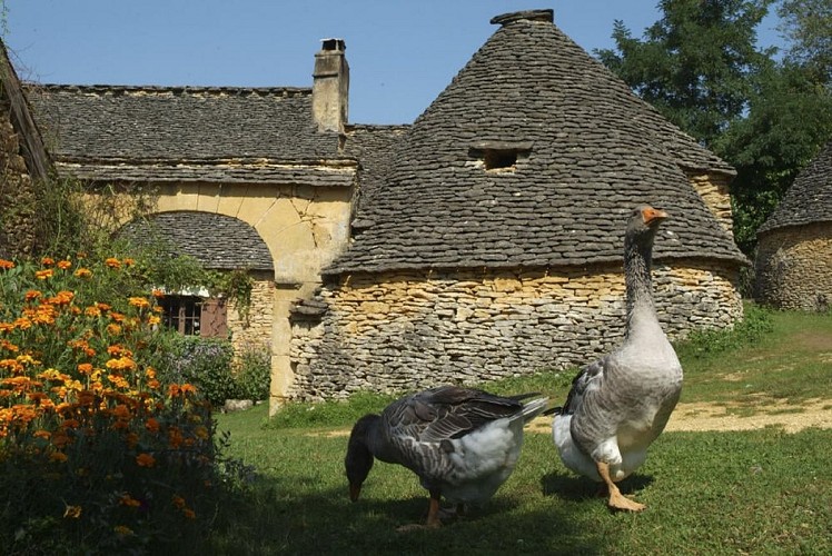 Les cabanes du breuil