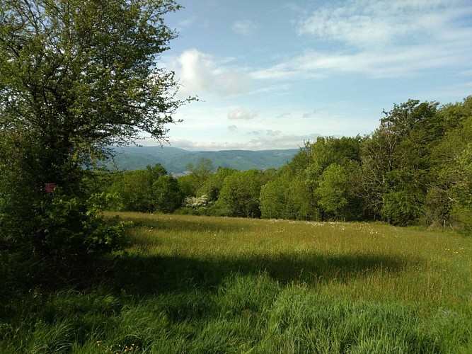 Les hauts de Saint Baudille
