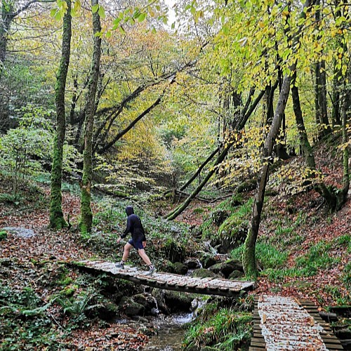 Trail : Du sentier de Wibault au Roc de Peyremaux