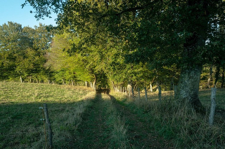 Présentation - Entre Vézère et Bradascou - Uzerche (1)