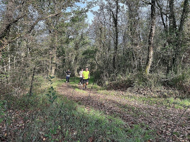csm_Station_trail_LRC__11__e691750714