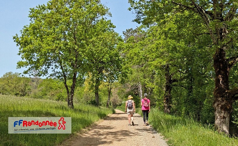 Sur le chemin de Conques à Toulouse