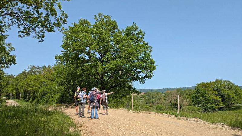 Randonneur sur le chemin de Saint-Jacques de Compostelle