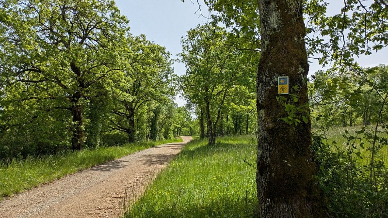 Chemin vers marais de Montaris