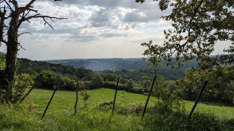 Vue sur la campagne