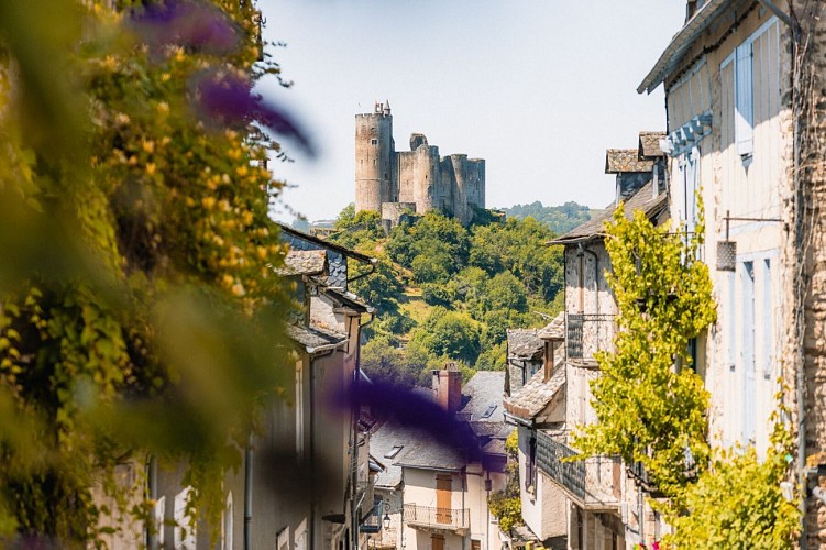 Vue de la forteresse de Najac