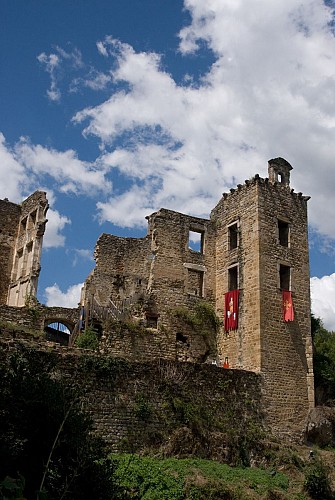 Château de Saint Marin Laguépie