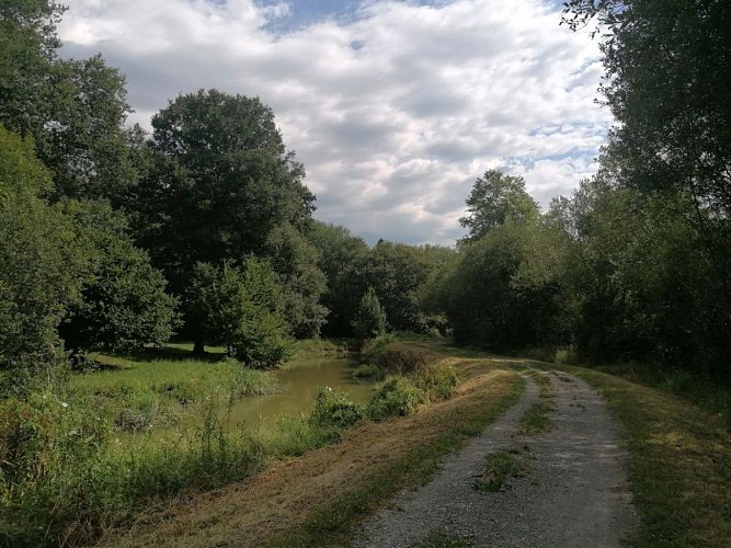 IMG_20240711_105305