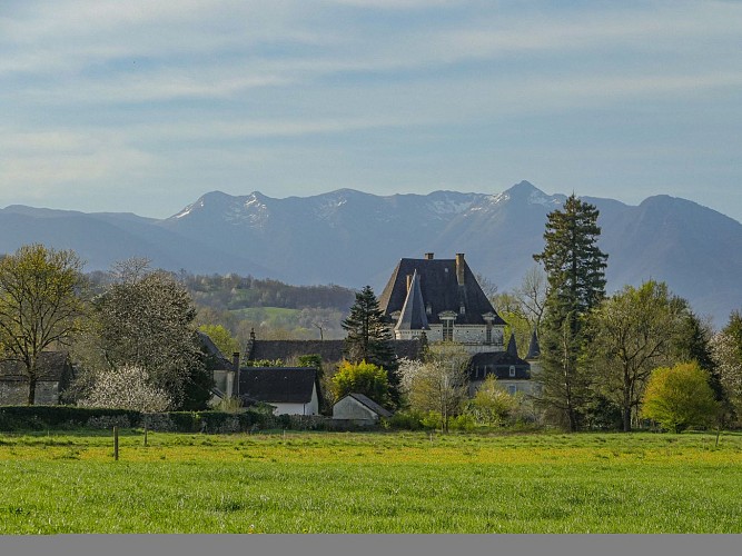 Vue sur le château