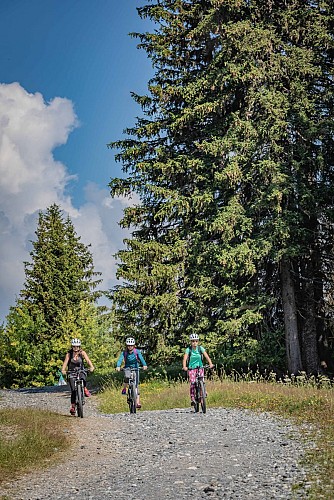 Mountain bike trail n°39 - Megève/Jaillet/centre Praz