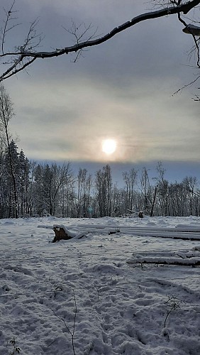Balade du Bois de Preuss_paysage hivernal 24-1-21_Plombières_01-2026