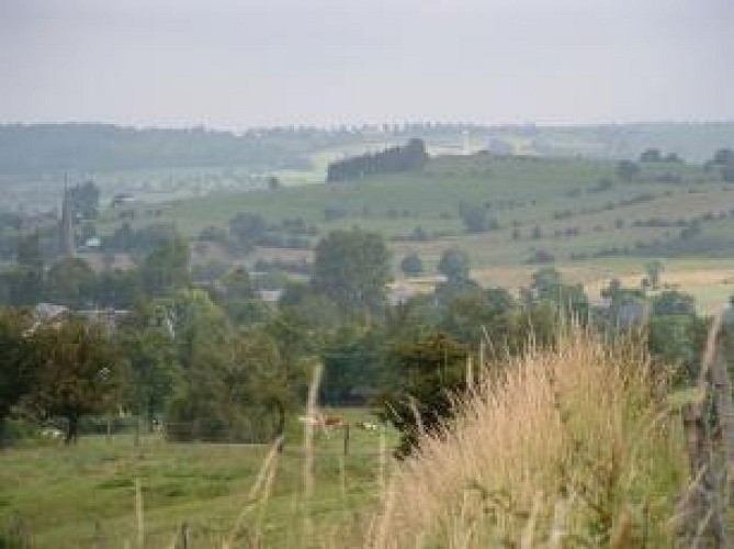 Wandeling : Charneux : Balade des chapelles