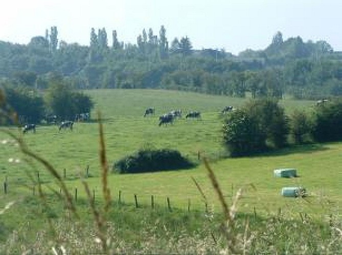 Chaineux : Zwischen Wiesen und Wirtschaft