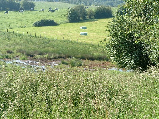 Chaineux : Zwischen Wiesen und Wirtschaft