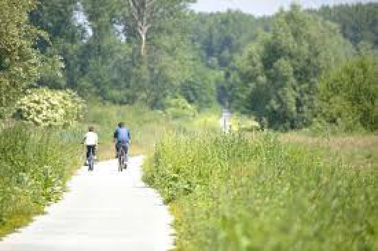 The Landscape Road by bike