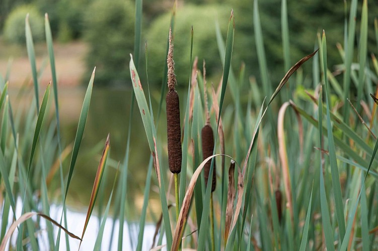 Autour des Biefs - PR n°26