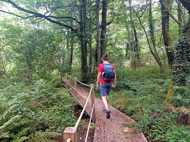 Circuit des planches Bessines