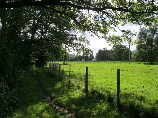 Liaison parc du Mas-Jambost - Bois des Vaseix
