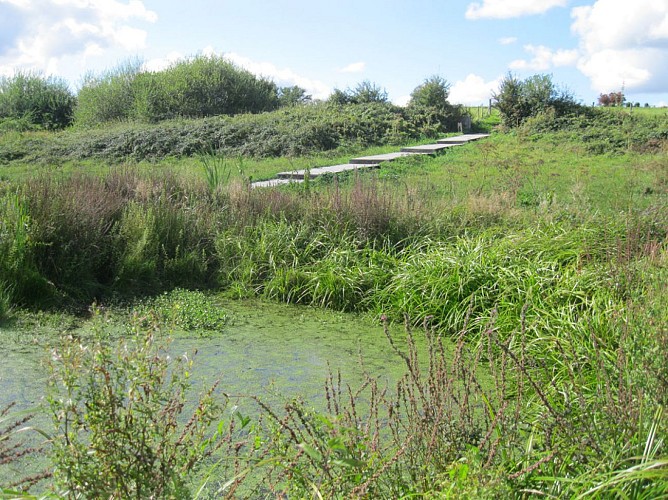 Liaison parc du Mas-Jambost - Bois des Vaseix