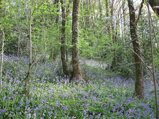 Liaison parc du Mas-Jambost - Bois des Vaseix