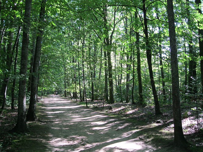 Sentier Bastide-Uzurat