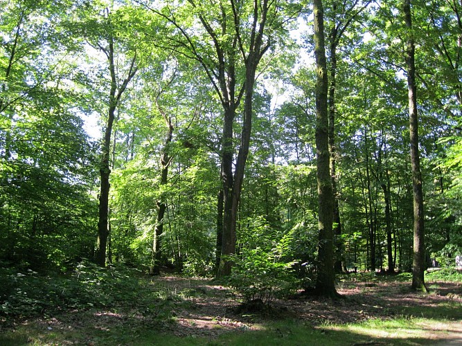 Sentier Bastide-Uzurat