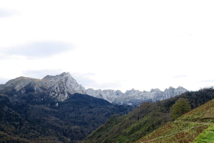 VTT N°50 - Plateau de Sanchèse