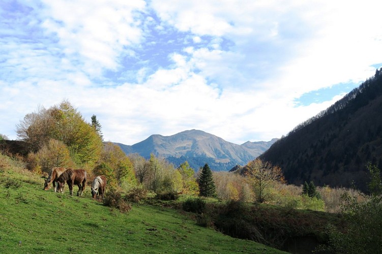 Plateau de Sanchèse