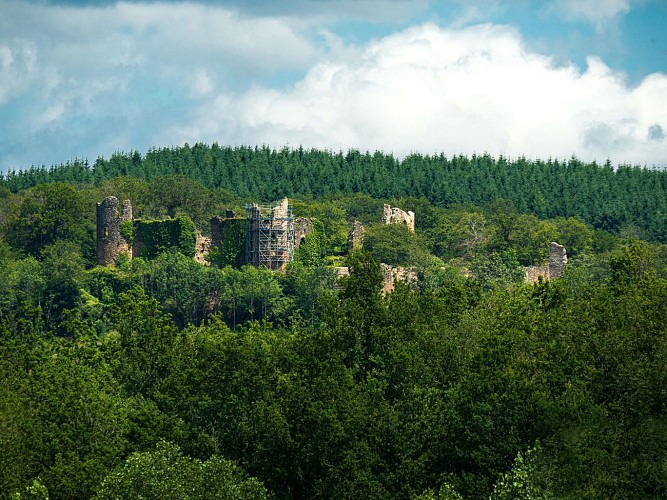 Château de Montgilbert à Ferrières-sur-Sichon