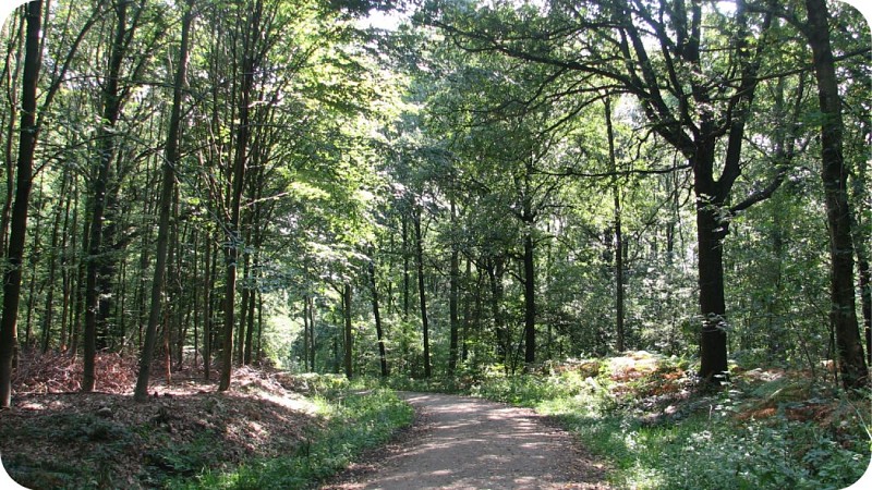 Balade dans le doimaine de Grunhaut