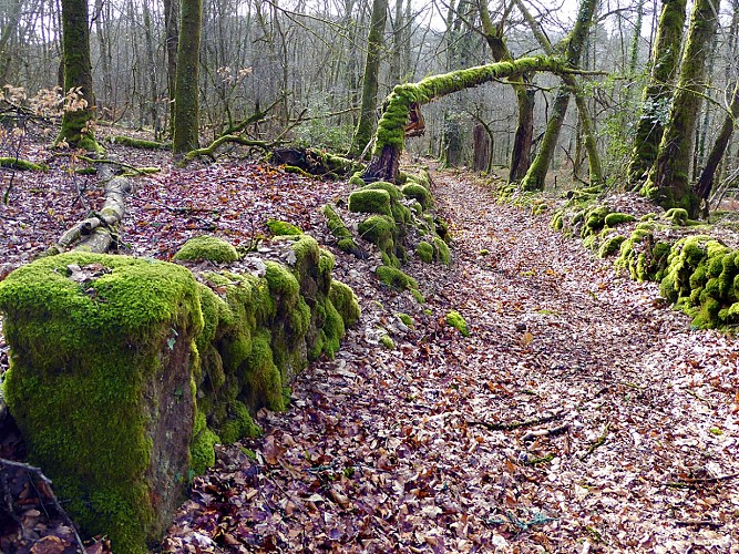 RAZES  Rando SIT© CBC (9)