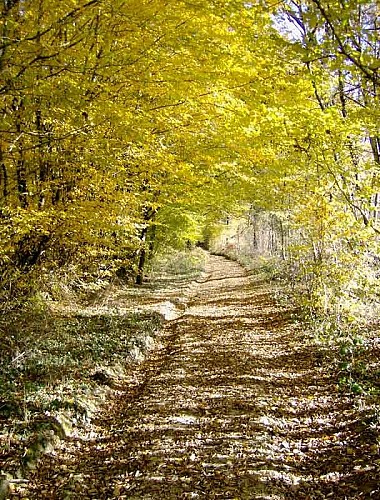 Sentier La font du loup