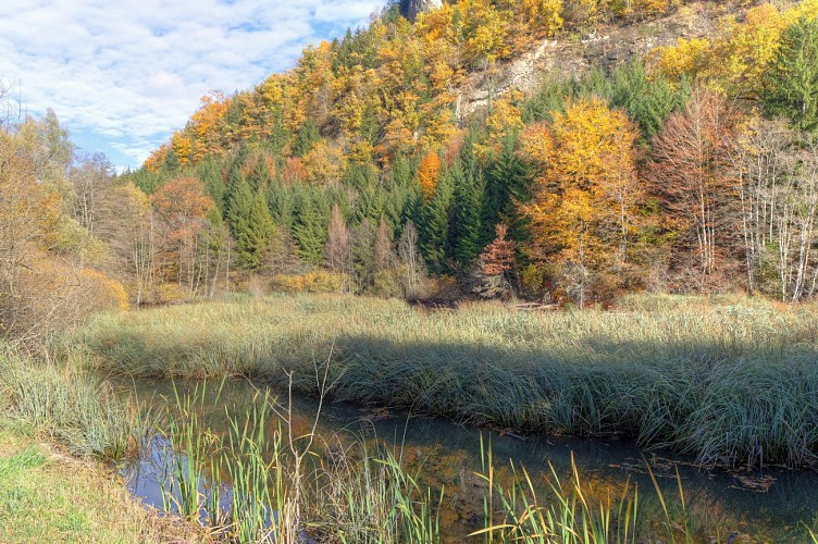 Sentier de randonnée - La Gouille aux Morts_Viuz-en-Sallaz