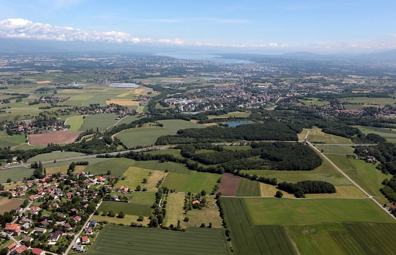 Boucle pédestre : paysages franco-suisses: Soral - Thairy - Laconnex