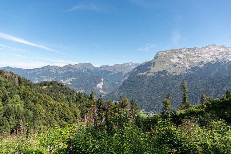 Walking itinerary: Lac de Gers from Lédedian_Samoëns