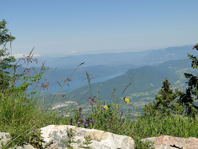 Les crêtes du Revard