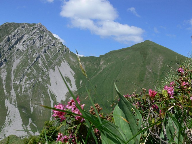 Mont d'Armenaz