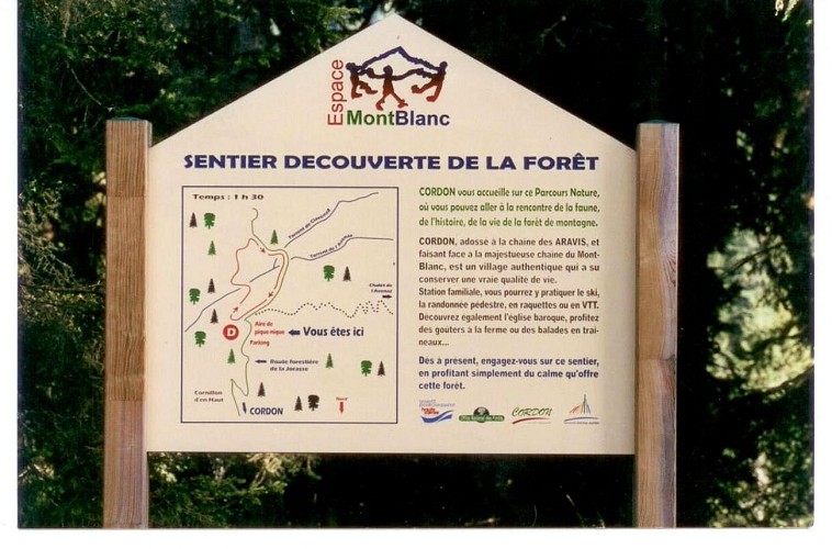 "Forest discovery" trail
