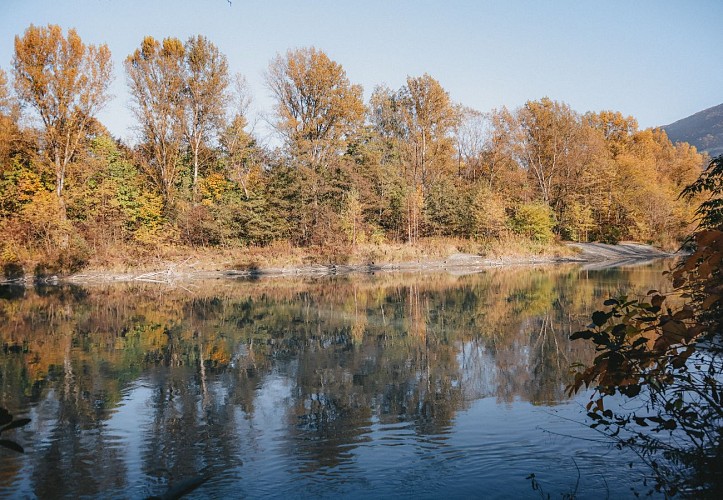 Rundwanderweg : les bords de l'Arve - De Gaillard à Arthaz_Gaillard
